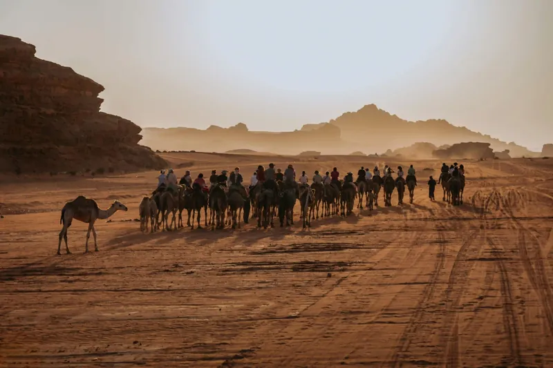 Camel caravan in Wadi Rum